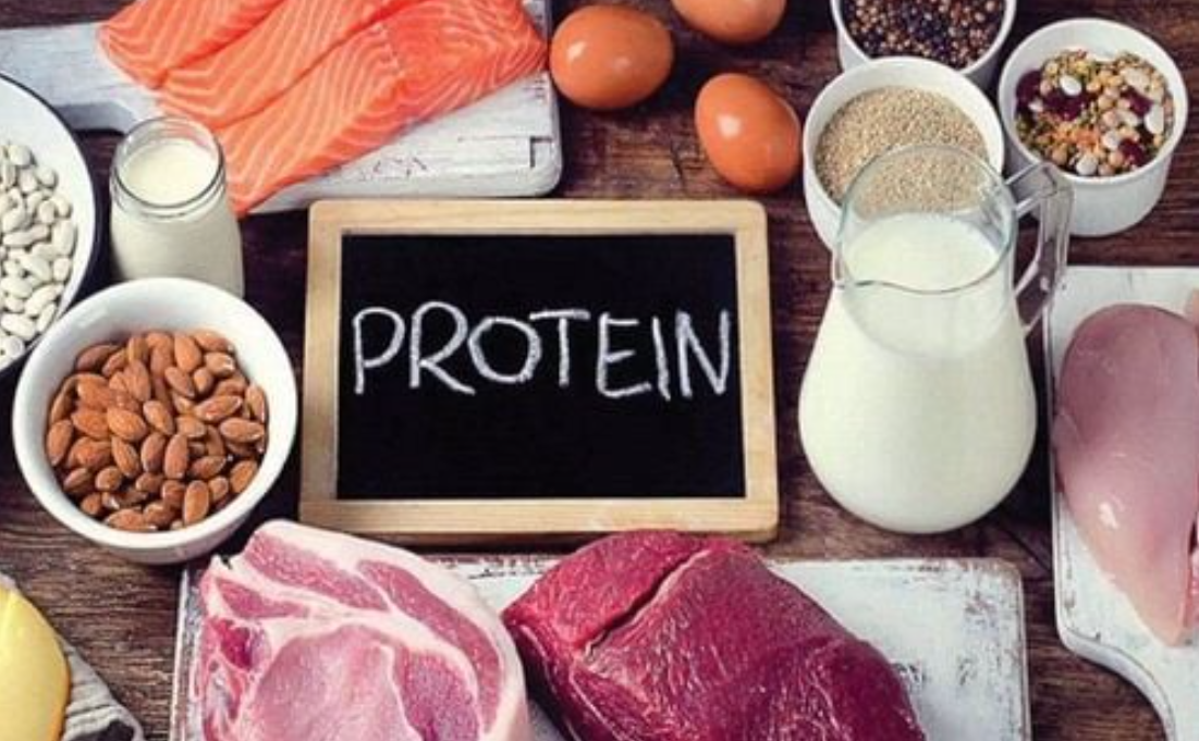 Protein
